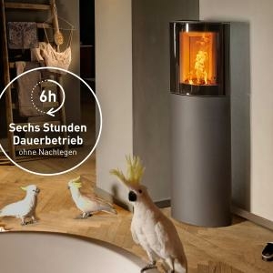 Austroflamm Mr. Wu Kaminofen Stahl Schwarz